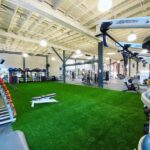 Best Gyms In San Francisco & All Things Working Out